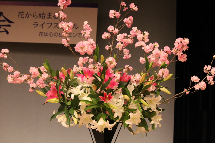 http://www.taikeian.net/blog/20120406kariyazaki5.JPG