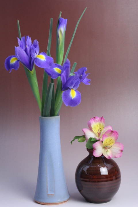 http://www.taikeian.net/blog/201303221iris.JPG