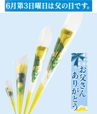 chichinohihana.jpg