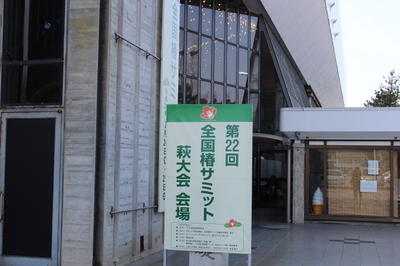 20120224tubaki1.JPG