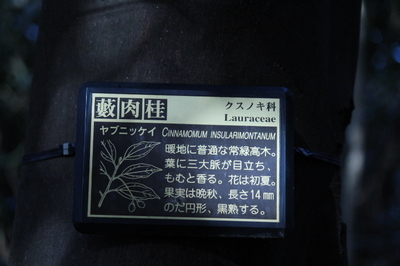 201202kasayama22.JPG