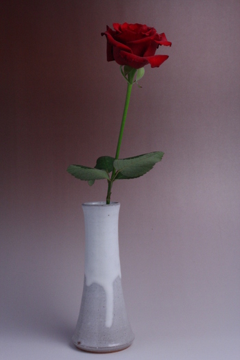20130226.JPG