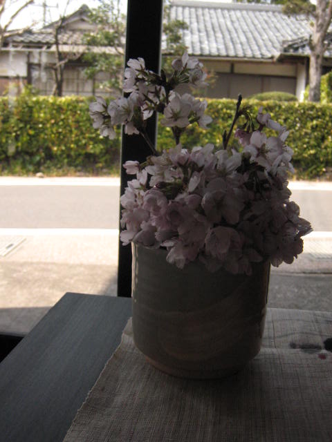 http://www.taikeian.net/blog/sakura4.JPG