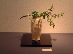 【萩作陶二十五年・樋口大桂展】横浜高島屋７階美術画廊にて・会場内の様子と展示作品No13